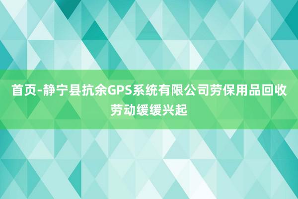 首页-静宁县抗余GPS系统有限公司劳保用品回收劳动缓缓兴起