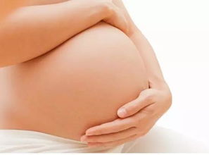 武汉代怀生子多少钱？老司机告诉你真实行情与避坑指南