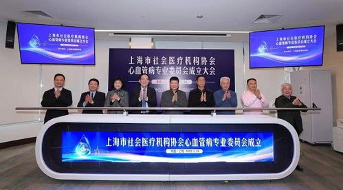 专业医疗机构环境