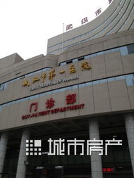 武汉代怀生子的费用明细大起底！普通人也能看懂的收费标准解析