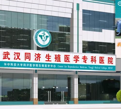 武汉代生代怀包男孩全攻略：从业十年经验告诉你如何选对机构