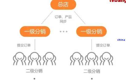 个性化方案制定