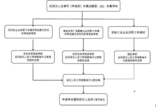 武汉代怀男宝全流程解析：从咨询到成功的真实体验分享