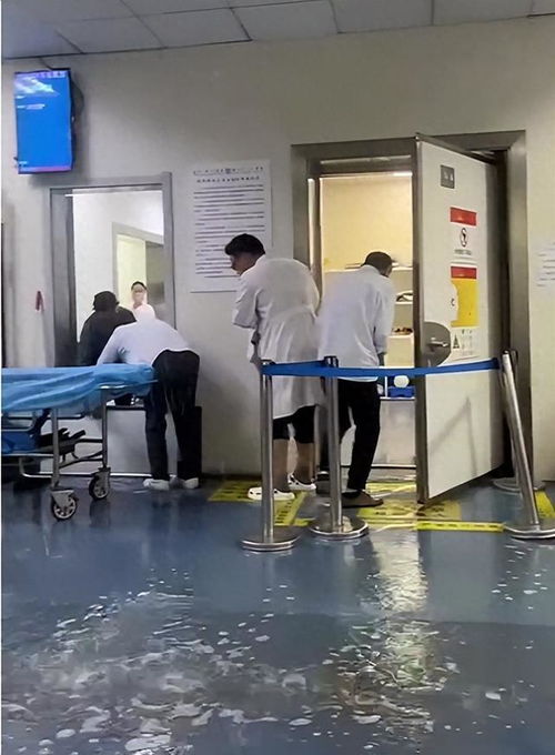 武汉供卵助孕真实体验：从焦虑到希望的生命奇迹之路