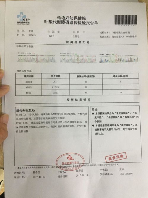医生查看检测报告