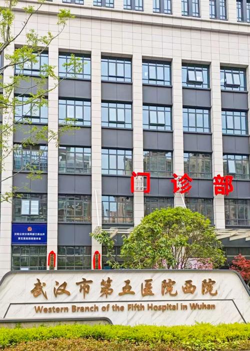 武汉知名三甲医院外观