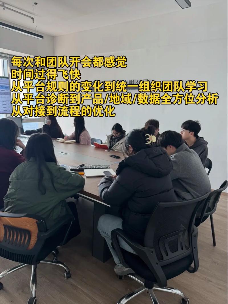专业代怀咨询团队