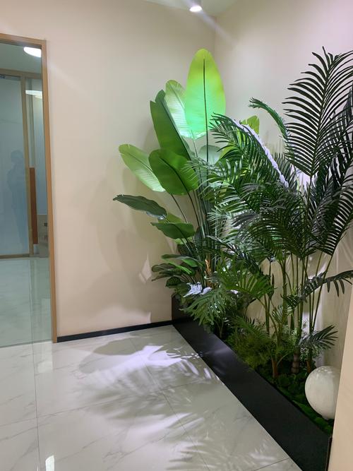 武汉代生优势：三甲医院资源如何保障成功率？